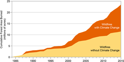 Wild Fires graph