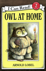 Owl at Home