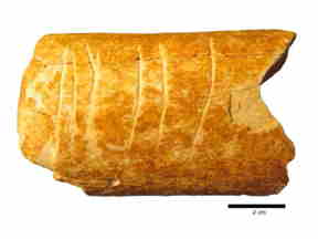 Auroch bone carving