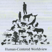 Human world view