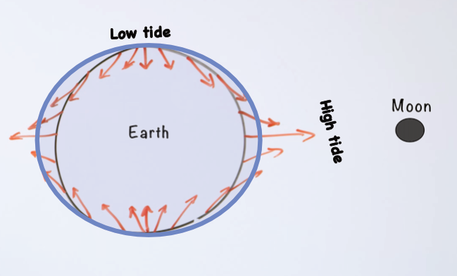 Tides and gravity forces