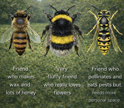Three bees