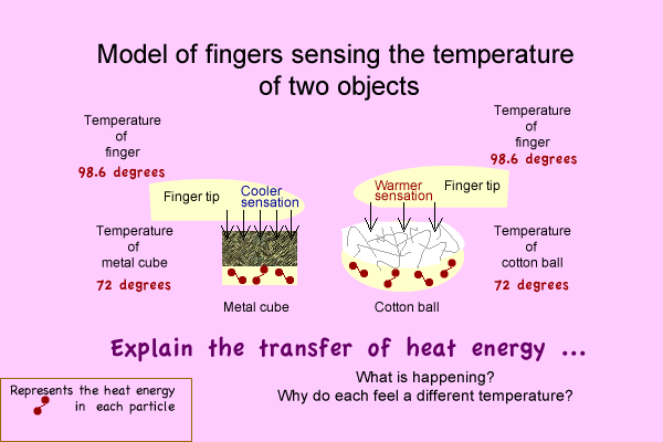 Model for heat energy transfer to a finger